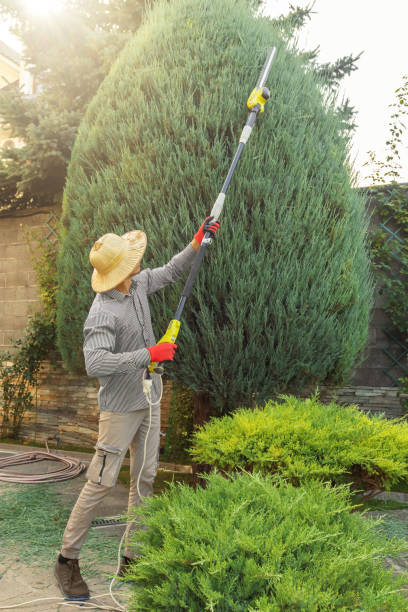 Artificial Turf Installation